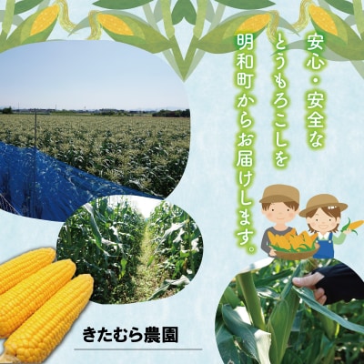 明和町産 朝採れとうもろこし ゴールドラッシュ 10本～12本 きたむら