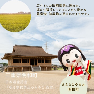 松阪牛 食べくらべ 定期便 【全6回】 2ヶ月に一度お届け