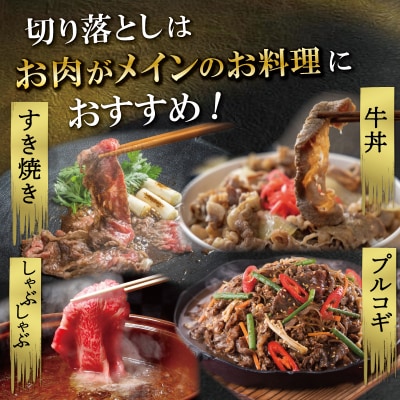 松阪牛 霜降り 切り落とし 500g　A5ランク A5等級 国産牛 MA1