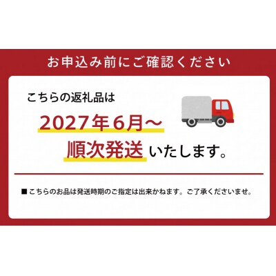 【2027年6月より順次発送】松阪牛 サーロインステーキ 200g×4枚 SS53