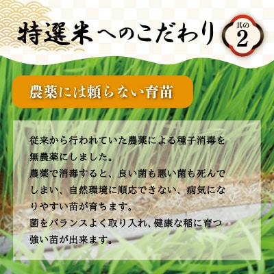 (有)松幸農産 特選米 20kg セット 三重県産 コシヒカリ　MK7