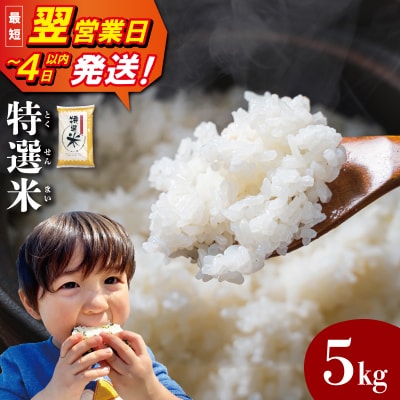(有)松幸農産 特選米 5kg 三重県産 コシヒカリ　MK13 | ふるさと納税のお礼品