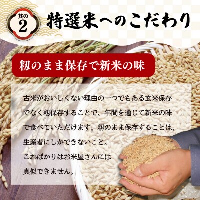 (有)松幸農産 特選米 玄米 5kg 三重県産 コシヒカリ　MK19