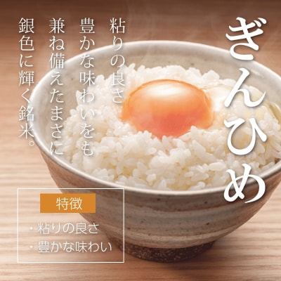 三重県産 コシヒカリ ぎんひめ 精米 5kg