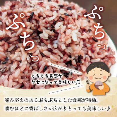 伊勢 斎宮 古代米 黒米 100g×3袋 合計300g　M1825