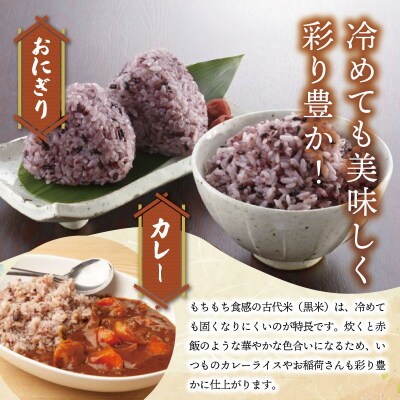 伊勢 斎宮 古代米 黒米 100g×3袋 合計300g　M1825