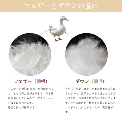  DUCKUP 【高島屋 選定品】 ひざ掛け ピンク
