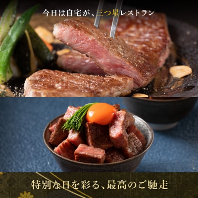 極上松阪牛 贅沢コース (定期便 9か月) 全9回 牛追道中　US33