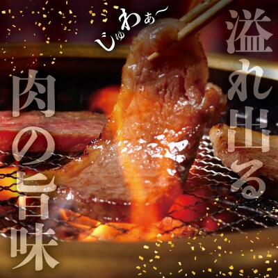 松阪牛焼肉切り落とし1kg　SS87