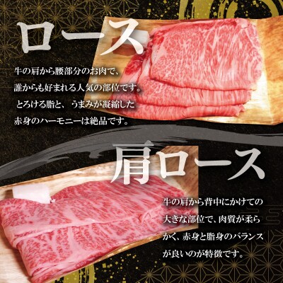 元祖電子肉 牛ロース・肩ロース 500g　NI1