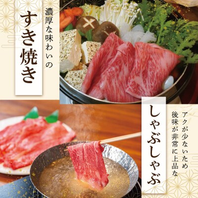 元祖電子肉 牛ロース・肩ロース 500g　NI1