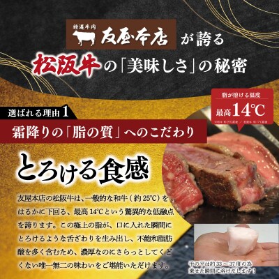 松阪牛 サーロイン ステーキ 250g×5枚 友屋本店　NT16