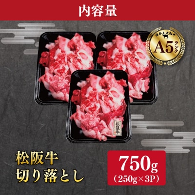 松阪牛 厳選 切り落とし 750g　A5ランク A5等級 国産牛 MA6