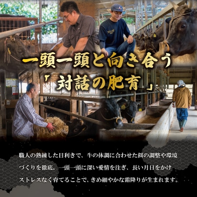 厳選松阪牛 すき焼き用 スライス (霜降り・赤身) 800g　MA9