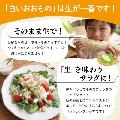 北山さんちの新鮮とうもろこし 白いおおもの 14～16本 kn3