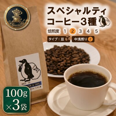 スペシャルティコーヒー 中浅煎り 3種 セット 100g×3袋【豆】 pg6