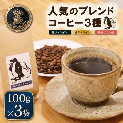 ペンギン堂 人気の オリジナル ブレンド コーヒー 3種　各100g×3袋【豆】pg4