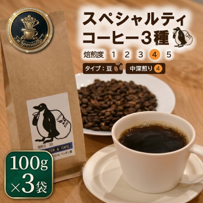 スペシャルティコーヒー 中深煎り 3種 セット 100g×3袋【豆】 pg7