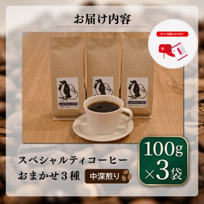 スペシャルティコーヒー 中深煎り 3種 セット 100g×3袋【豆】 pg7