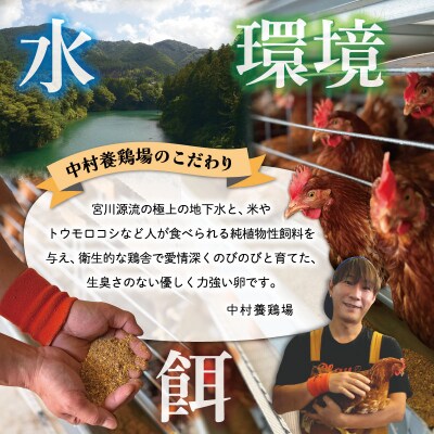 新鮮たまご 赤玉 Lサイズ 20個 中村養鶏場 ny1