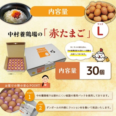 新鮮たまご 赤玉 Lサイズ 30個 中村養鶏場 ny2