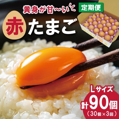 新鮮たまご 赤玉 Lサイズ 30個×3回 【定期便】中村養鶏場 ny5