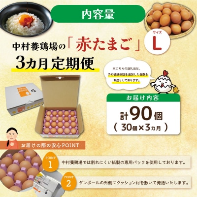 新鮮たまご 赤玉 Lサイズ 30個×3回 【定期便】中村養鶏場 ny5