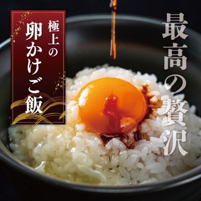 新鮮たまご 赤玉 Lサイズ 30個×3回 【定期便】中村養鶏場 ny5
