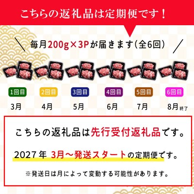 【定期便全6回】 家庭用 松阪牛 小間切れ 200g×3p SS86