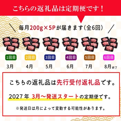 【定期便全6回】 家庭用 松阪牛 小間切れ 200g×5p SS144