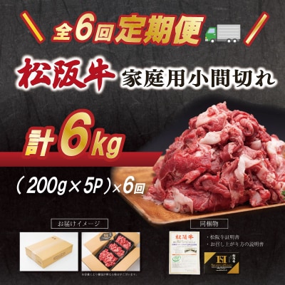 【定期便全6回】 家庭用 松阪牛 小間切れ 200g×5p SS144