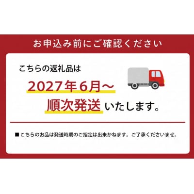 【2027年6月より順次発送】松阪牛 ロースステーキ 200g×3枚 SS140
