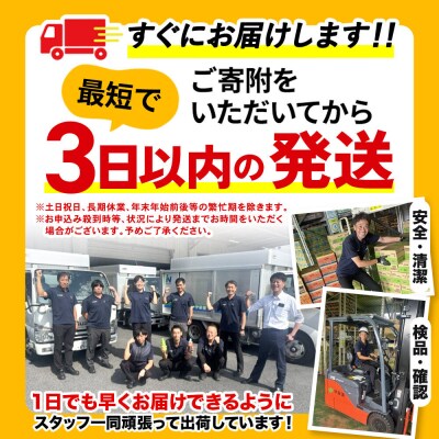 伊藤園 定期3ヶ月 お～いお茶濃い茶 2L×6本 1ケース|10_itn-090603