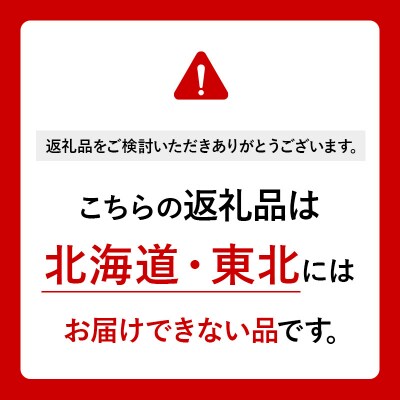 リーガースベゴニア 2鉢セット|10_sen-010201