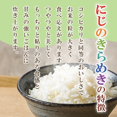 【白米】令和7年産 にじのきらめき 10kg 群馬県明和町産|10_wkr-020101