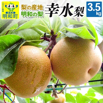 梨 幸水 こうすい 3.5kg【8月中旬～8月下旬にお届け】|10_mns-010301