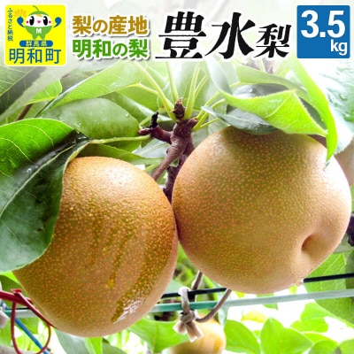梨 豊水 ほうすい 3.5kg【9月上旬～9月中旬にお届け】|10_mns-020301
