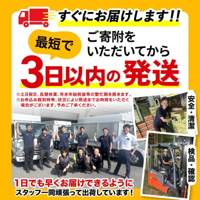 伊藤園 定期3ヶ月 リラックスジャスミンティー 2L×6本 2ケース|10_itn-261203