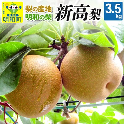 梨 新高 にいたか 3.5kg【9月中旬～10月上旬にお届け】|10_mns-030301