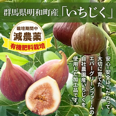 ドライいちじく(バナーネ) 30g×4個|10_egf-100401