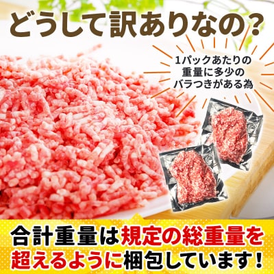 訳あり!群馬県産 豚挽肉 2kg(200g×10パック)|10_nkb-010201