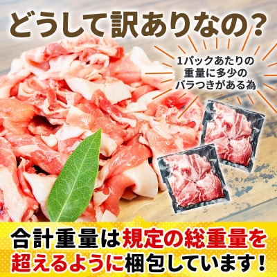 訳あり!群馬県産 豚こま切れ肉 2kg(200g×10パック)|10_nkb-020201