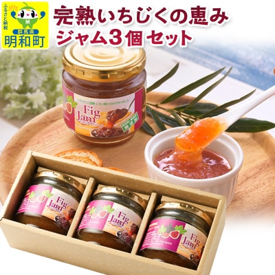 完熟いちじくの恵みジャム 150g×3個|10_egf-140301