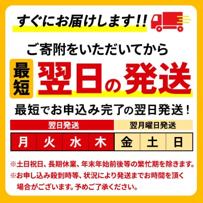 《定期便7ヶ月》サントリー 金麦糖質75%オフ ＜500ml×24缶＞|10_omr-192407