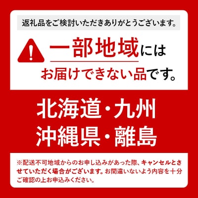 《定期便3ヶ月》お～いお茶 濃い茶 伊藤園 1L×12本×1ケース|10_itn-341203