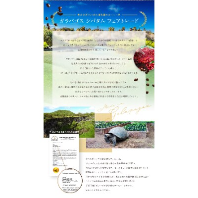 ゴールドコーヒーロースターズ　ガラパゴス　シバタム　200g　豆