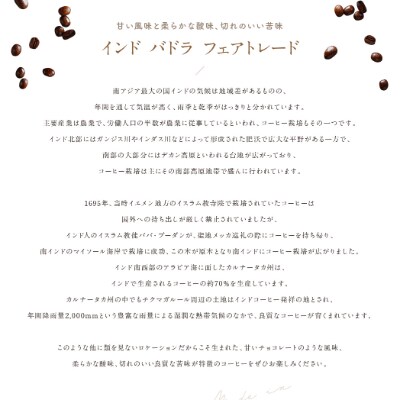 ゴールドコーヒーロースターズ　インド　バドラ　豆　200g×2