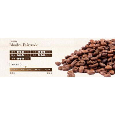 ゴールドコーヒーロースターズ　インド　バドラ　豆　200g×2