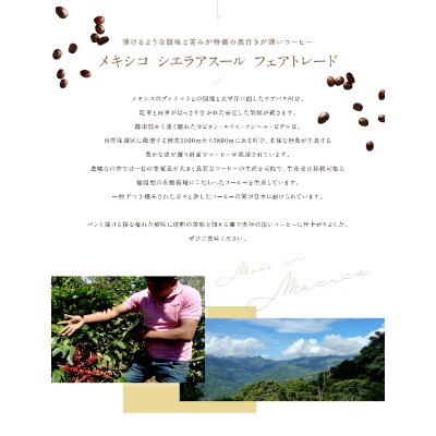 ゴールドコーヒーロースターズ　フェアトレード　メキシコ　豆　200g×2
