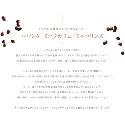 ゴールドコーヒーロースターズ　フェアトレード　ルワンダ　200g×2　豆
